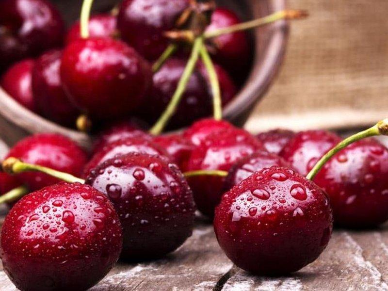 Вишня купить саженцы из питомника в Шадринске